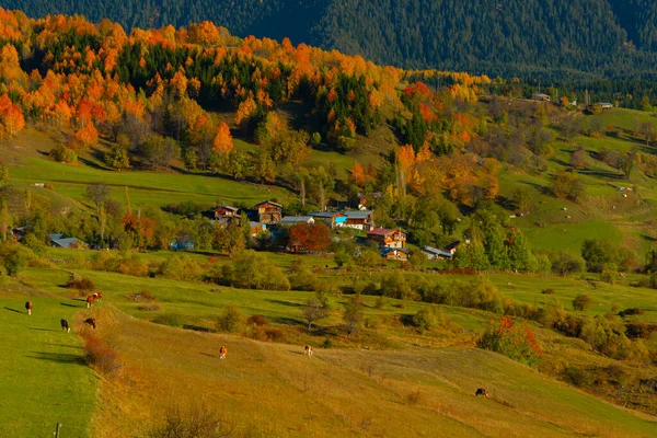 Savsat Avat Dos Lugares Raros Com Mais Bela Natureza Região — Fotografia de Stock