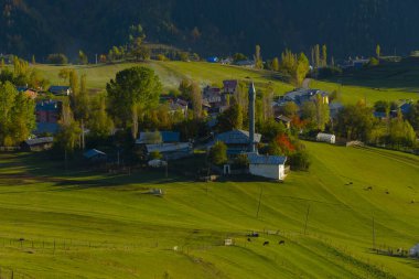 Savsat (avat) Karadeniz Bölgesi 'nin en güzel doğasına sahip nadir yerlerden biridir., 