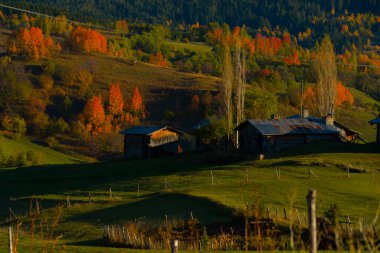 Dağlık evler. Savsat, Türkiye 'nin Karadeniz bölgesi Artvin' in en güzel doğasına sahip nadir yerlerden biri.