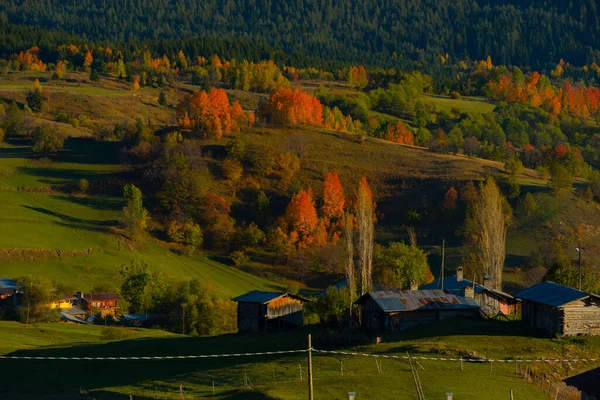 Hooglandhuizen Savsat Een Van Zeldzame Plaatsen Met Mooiste Natuur Van — Stockfoto