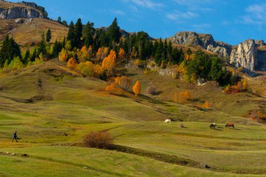 Maden Köyü Savsat Artvin Türkiye