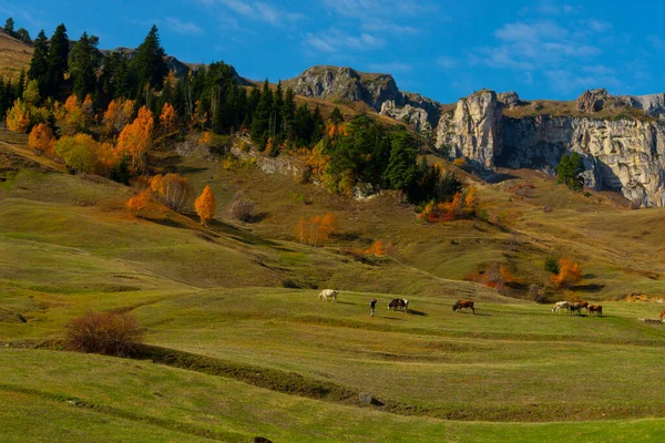 Maden Village Savsat Artvin Törökország — Stock Fotó