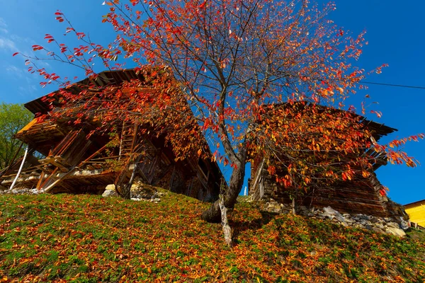 Maden Village Savsat Artvin Turkey — Stock Photo, Image