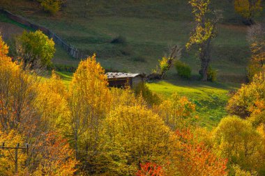 Maden Köyü Savsat Artvin Türkiye