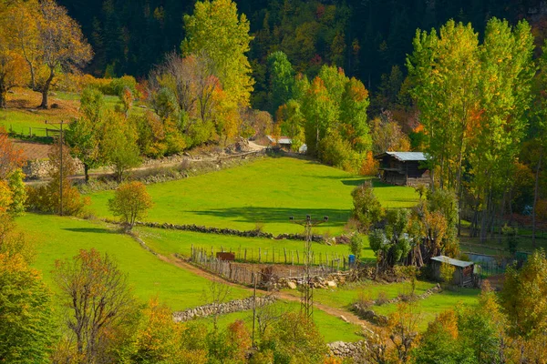 Desa Maden Savsat Artvin Turki — Stok Foto