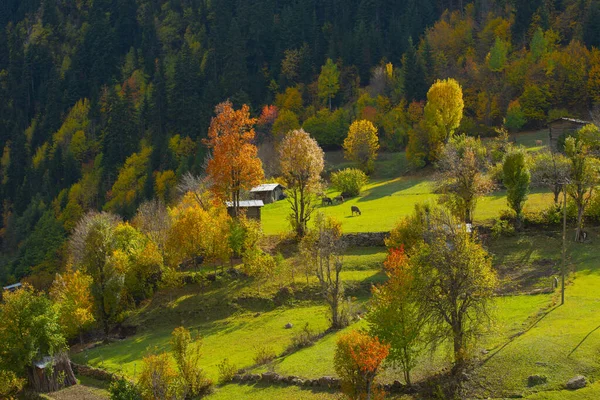 Maden Village Savsat Artvin Τουρκία — Φωτογραφία Αρχείου