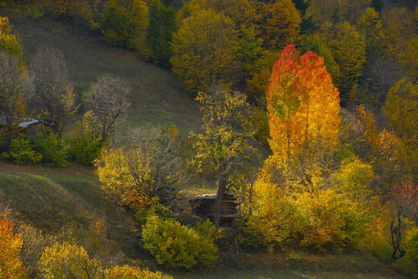 Maden Village Savsat Artvin Turcja — Zdjęcie stockowe