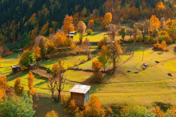 秋の美しい色とトルコ 同時通訳山と東黒海地域と — ストック写真
