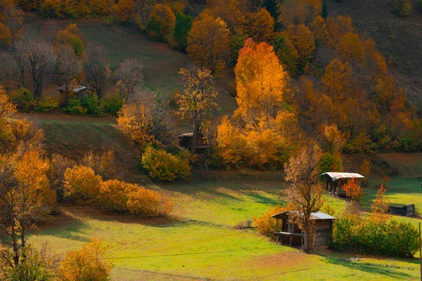 秋の美しい色とトルコ 同時通訳山と東黒海地域と — ストック写真