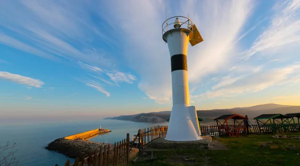 Árvore Única Campo Perto Costa Litoral Kirklareli Kiyikoy Mar Vazio — Fotografia de Stock