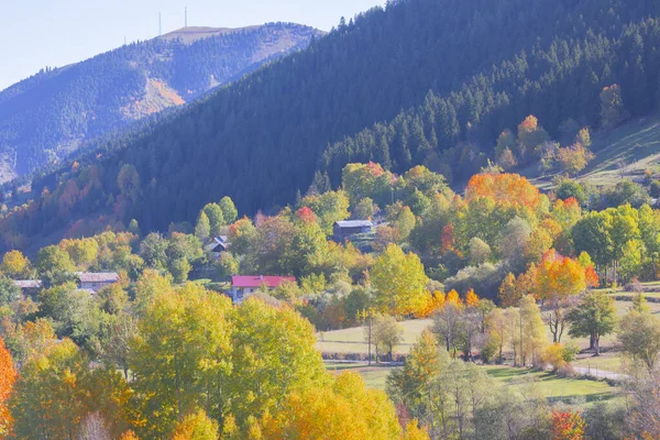 土耳其的东黑海地区 Artvin Savsatold教堂 森林和秋天 土耳其最美丽的城市 — 图库照片