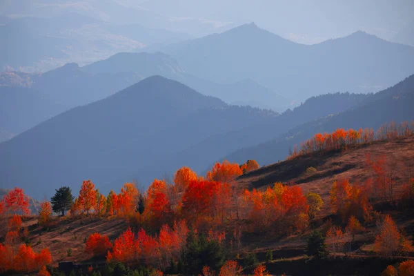 土耳其的东黑海地区 Artvin Savsatold教堂 森林和秋天 土耳其最美丽的城市 — 图库照片