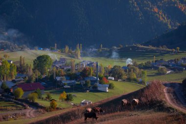  Nehirler, göller, ormanlar ve sonbahar, Türkiye 'nin en güzel şehirleri ,