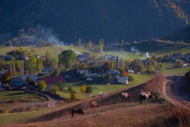  Nehirler, göller, ormanlar ve sonbahar, Türkiye 'nin en güzel şehirleri ,