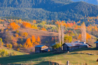  Nehirler, göller, ormanlar ve sonbahar, Türkiye 'nin en güzel şehirleri ,