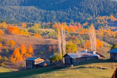  Nehirler, göller, ormanlar ve sonbahar, Türkiye 'nin en güzel şehirleri ,