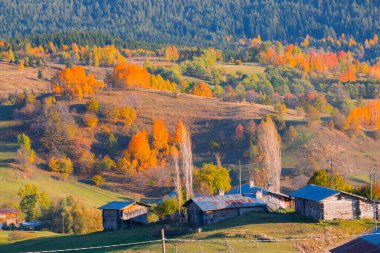  Nehirler, göller, ormanlar ve sonbahar, Türkiye 'nin en güzel şehirleri ,