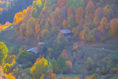  Nehirler, göller, ormanlar ve sonbahar, Türkiye 'nin en güzel şehirleri ,
