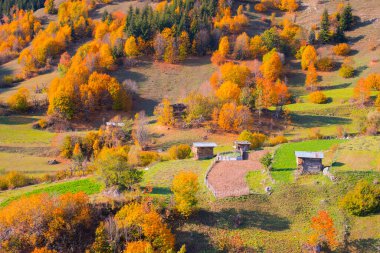  Nehirler, göller, ormanlar ve sonbahar, Türkiye 'nin en güzel şehirleri ,
