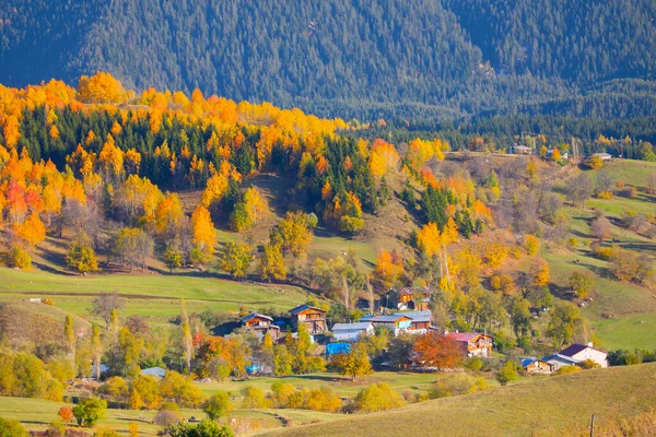 Річки Озера Ліси Осінь Найкрасивіші Міста Туреччини — стокове фото