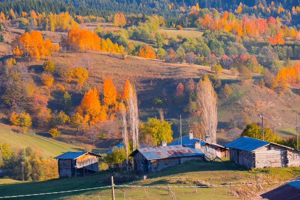 Реки Озера Леса Осень Самые Красивые Города Турции — стоковое фото