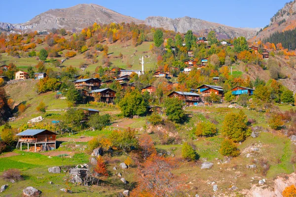 Rivières Lacs Forêts Automne Les Belles Villes Turquie — Photo