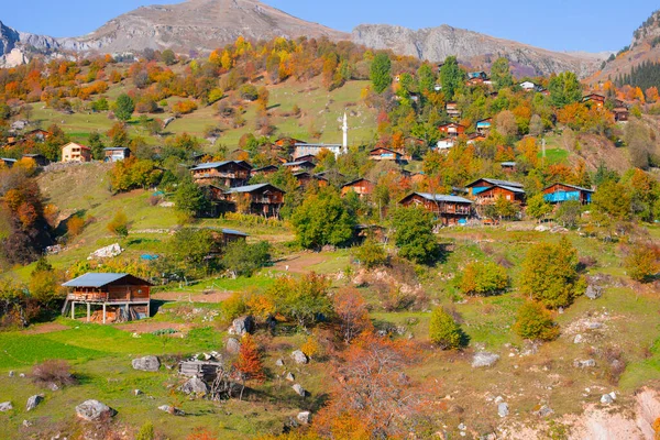 Rivières Lacs Forêts Automne Les Belles Villes Turquie — Photo