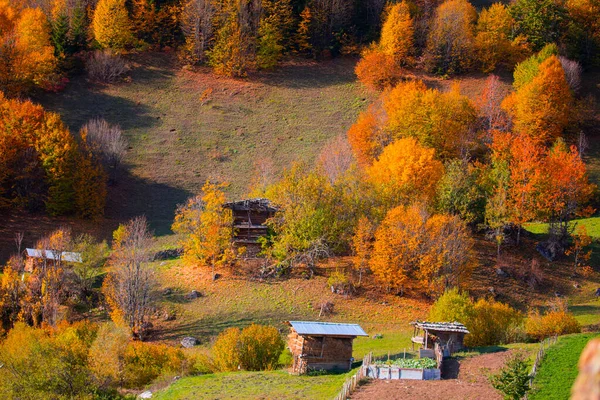 森林和秋天 土耳其最美丽的城市 — 图库照片