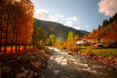  Nehirler, göller, ormanlar ve sonbahar, Türkiye 'nin en güzel şehirleri ,