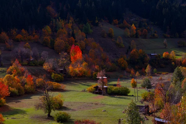 Rivieren Meren Bossen Herfst Mooiste Steden Van Turkije — Stockfoto