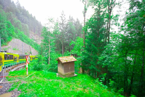 Vallée Lauterbrunnen Village Lauterbrunnen Chute Staubbach Mur Lauterbrunnen Dans Les — Photo