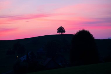 Hobbit arazisi Hirzel İsviçre.