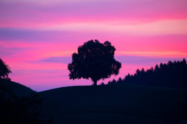 Hobbit arazisi Hirzel İsviçre.