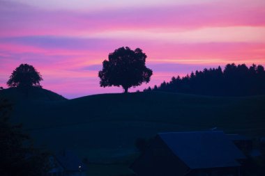 Hobbit arazisi Hirzel İsviçre.