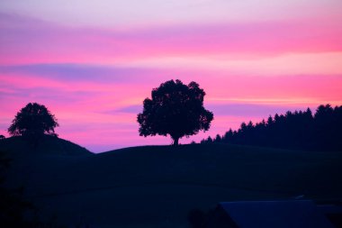 Hobbit arazisi Hirzel İsviçre.