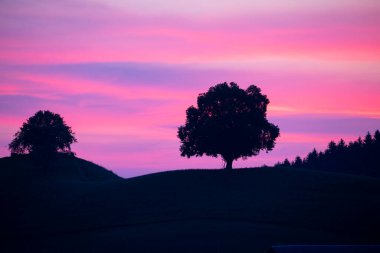 Hobbit arazisi Hirzel İsviçre.