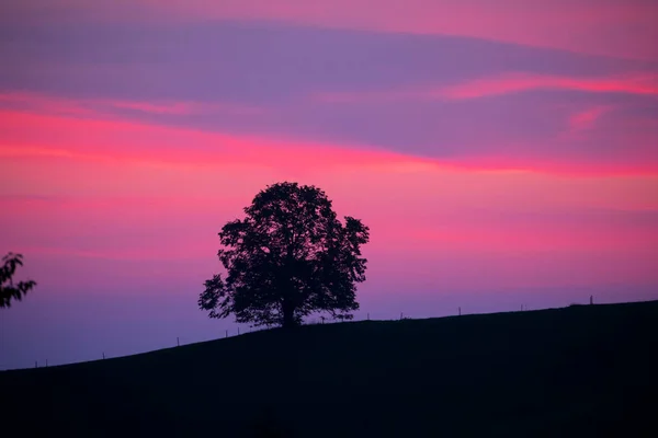 Hobbit Paysage Hirzel Suisse — Photo