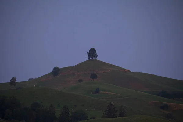 Hobbit Paisaje Terrestre Hirzel Suiza — Foto de Stock