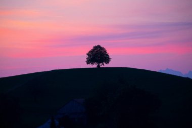 Hobbit arazisi Hirzel İsviçre.