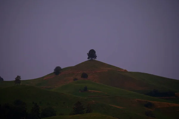 Hobbit Paisaje Terrestre Hirzel Suiza — Foto de Stock