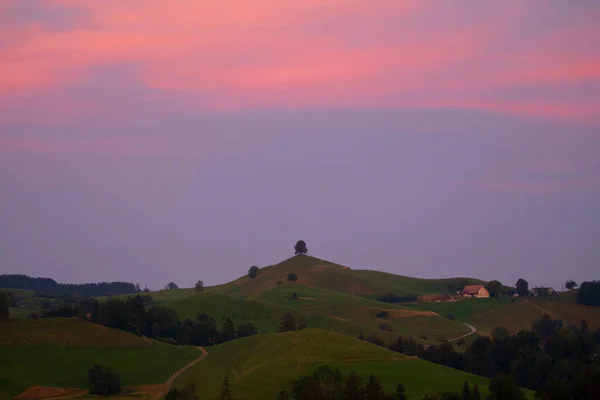 Ландшафт Землі Хоббітів Hirzel Switzerland — стокове фото