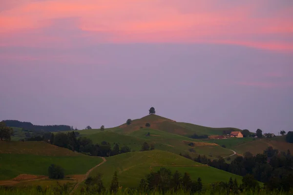 Ландшафт Землі Хоббітів Hirzel Switzerland — стокове фото