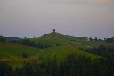 Hirzel / İsviçre 'nin güzel ağaç manzaraları 