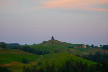 Hirzel / İsviçre 'nin güzel ağaç manzaraları 
