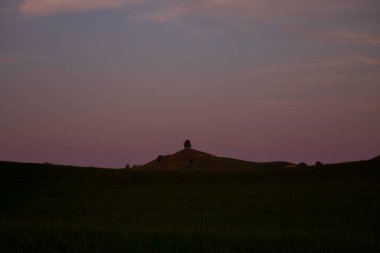 Hirzel / İsviçre 'nin güzel ağaç manzaraları 