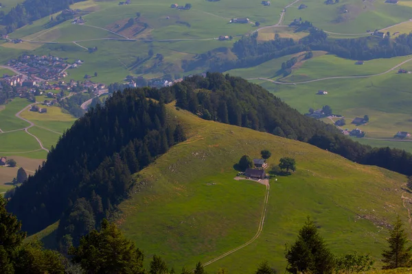 Bellissimi Paesaggi Arborei Hirzel Svizzera — Foto Stock