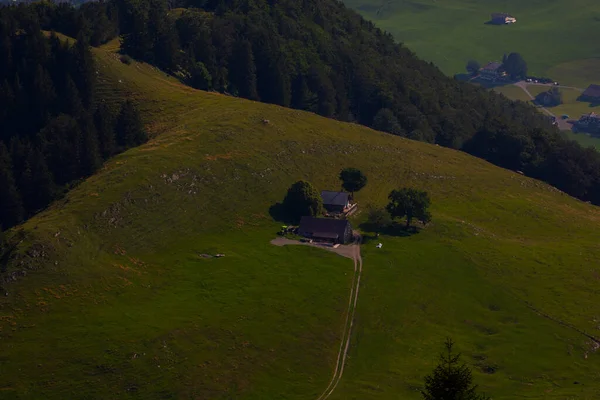 Hermosos Paisajes Árboles Hirzel Suiza —  Fotos de Stock