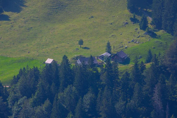Vendégház Aescher Wildkirchli Egy Szikla Alatt Hegy Ebenalp Svájcban Egy — Stock Fotó