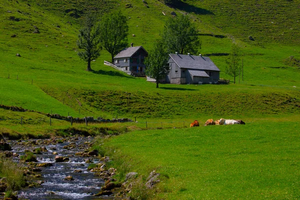 Jezioro Seealpsee Niedaleko Appenzell Alpach Szwajcarskich Ebenalp Szwajcaria — Zdjęcie stockowe