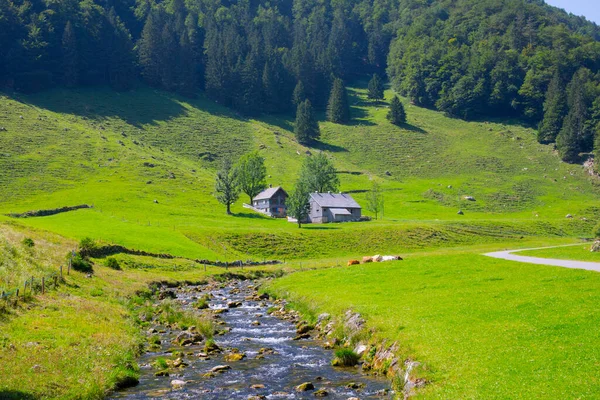 Seealpsee Bei Appenzell Den Schweizer Alpen Ebenalp Schweiz — Stockfoto